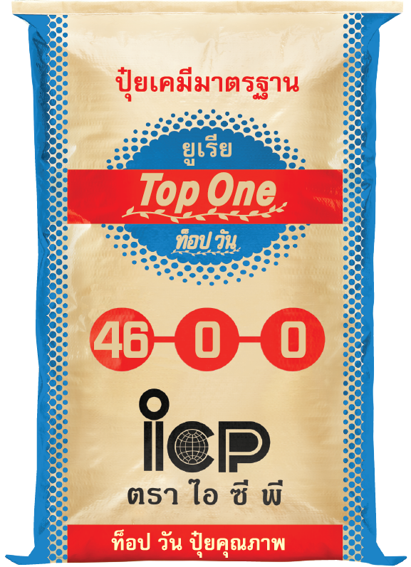 46-0-0-icp-inter